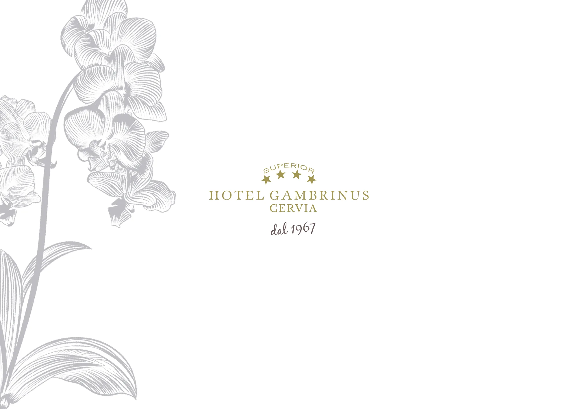Hotel Gambrinus Cervia — L'orchidea come filigrana: tavola 1 di 28, A4