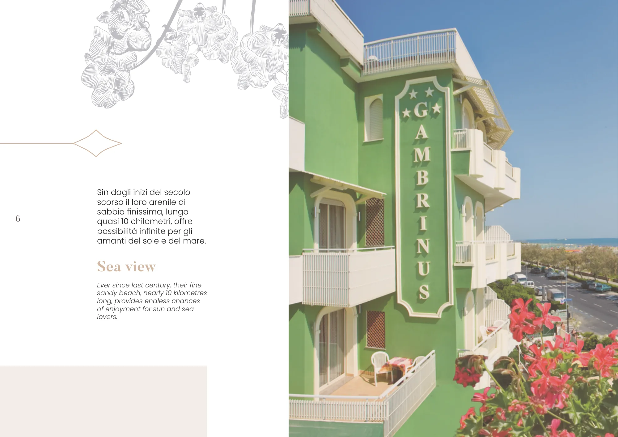 Hotel Gambrinus Cervia — L'orchidea come filigrana: tavola 6 di 28, A4
