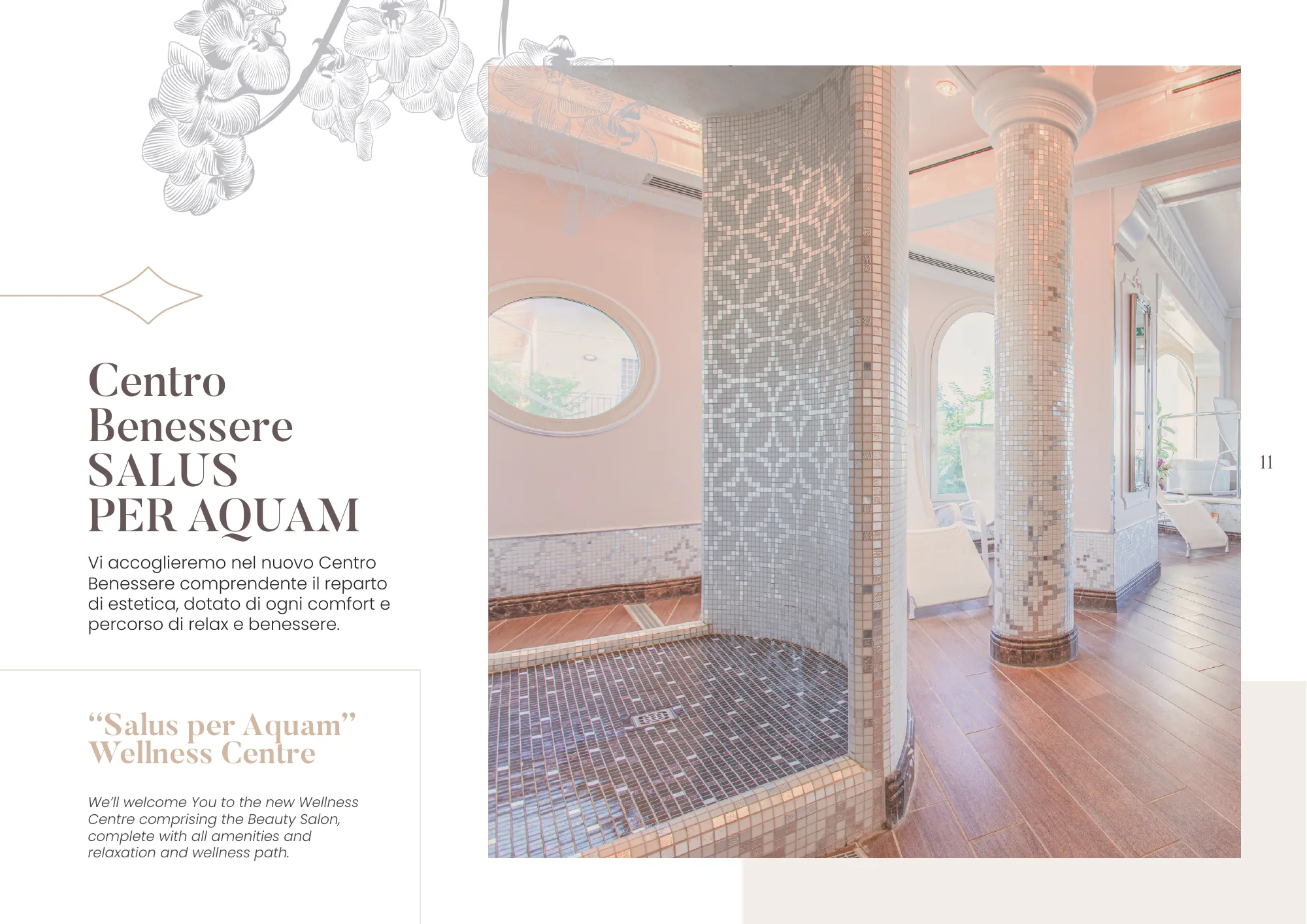 Hotel Gambrinus Cervia — L'orchidea come filigrana: tavola 11 di 28, A4